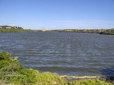 Puerto Guaranao
