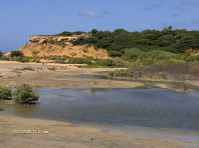 Golfo de Veneciuela o Agua Grande