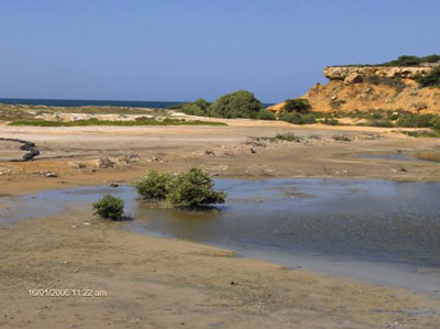 Golfo de Veneciuela o Agua Grande