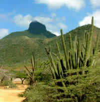 Cerro Santa Ana
